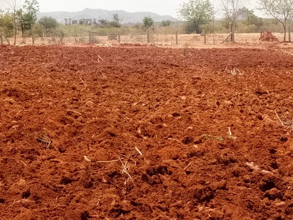 Root Acre | Agricultural land for sale in Gandi Maisamma